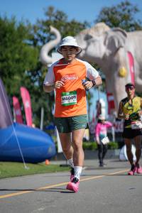 BIB: 
                            <button type="button" onclick="openModal(26545032)" class="btn btn-primary btn-sm float-right btn-popup" data-toggle="modal" data-target=".modal-high-quality">
                        <i class="fas fa-shopping-cart"></i> Add to Cart
                    </button>
                                            <button type="button" onclick="isThisMe(26545032, true)" class="btn btn-success btn-sm float-right btn-popup btn-isme hidden" data-toggle="tooltip" data-placement="bottom" title="นี่คือรูปของคุณใช่ไหม คลิกที่นี่เพื่อเอาเข้าอัลบั้ม">
                        <i class="fas fa-plus"></i> Add to album
                    </button>
                    <button type="button" onclick="isThisMe(26545032, false)" class="btn btn-warning btn-sm float-right btn-popup btn-isnotme hidden">
                        <i class="fas fa-ban"></i> Remove from album
                    </button>